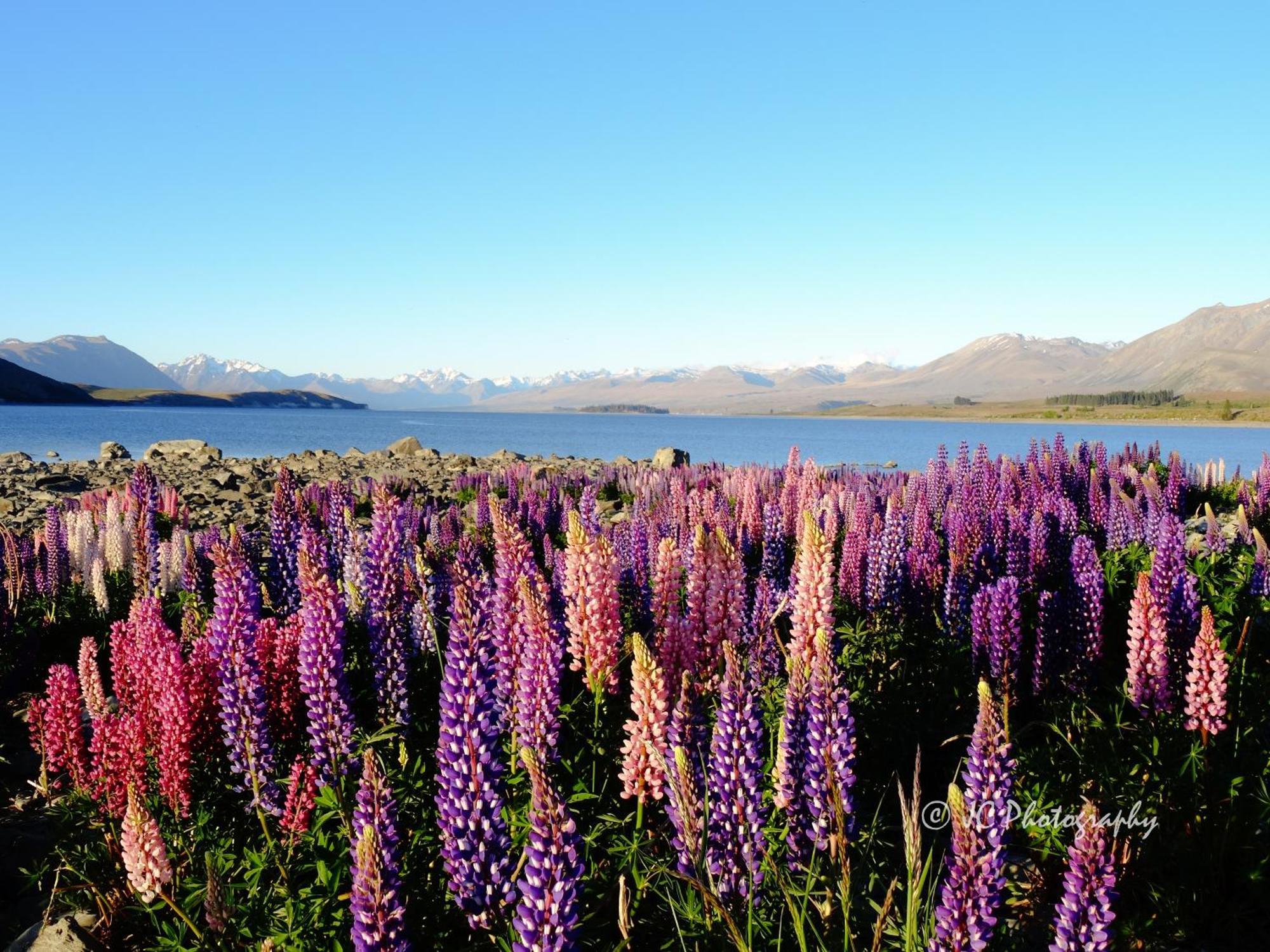 Tekapo Luxury Apartments Lake Tekapo Dış mekan fotoğraf